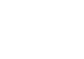 Dekpol